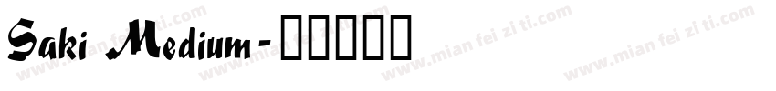 Saki Medium字体转换